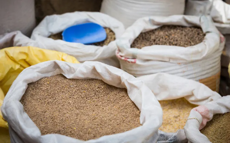 Food Grade Bags – Essential Packaging for Safe and Fresh Products