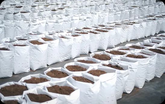 save grain bags